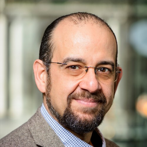 Dr. Adel Elmessiry
